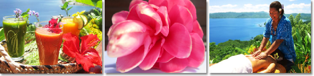 Detox-Advanced-Banner