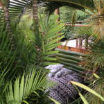 garden-studio-single-001